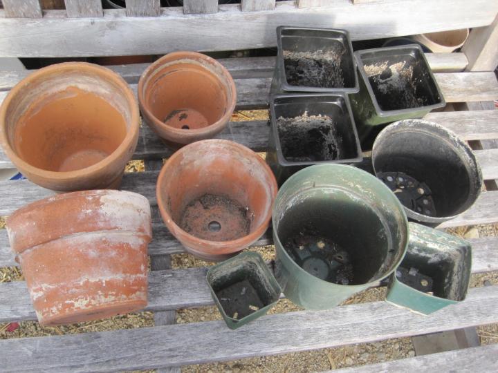 How to Clean Garden Pots and Containers